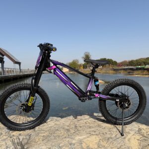 DXE Racing X-18 Electric Balance Bike
