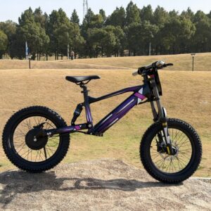DXE Racing X-20 Electric Balance Bike