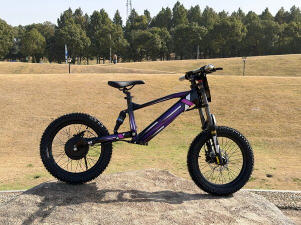 DXE Racing X-20 Electric Balance Bike