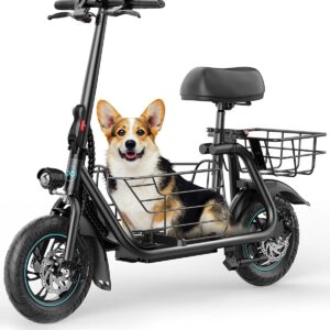 Gyroor C1S Electric Scooter 800W Ultimate Partner Kit