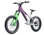 Takani 20" Electric Balance Bike TK2060