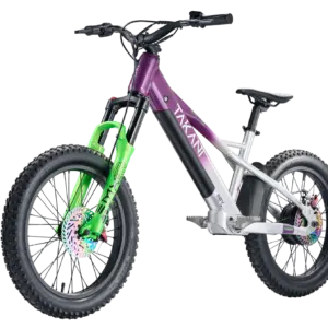 Takani 20" Electric Balance Bike TK2060
