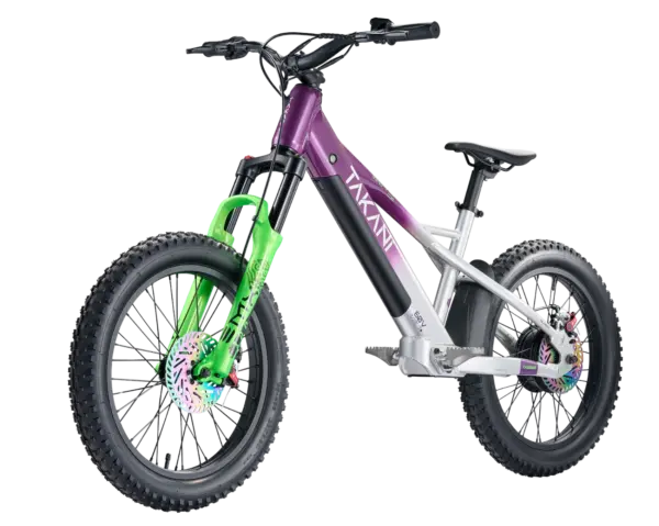 Takani 20" Electric Balance Bike TK2060