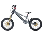 Takani 20" Electric Balance Bike TK2060-RS