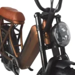 Rever Safari Electric Bike [DISPLAY]