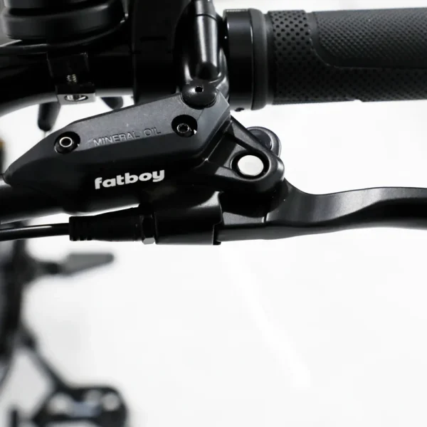 Fatboy Bagus V3 Electric Bike [UL2849]