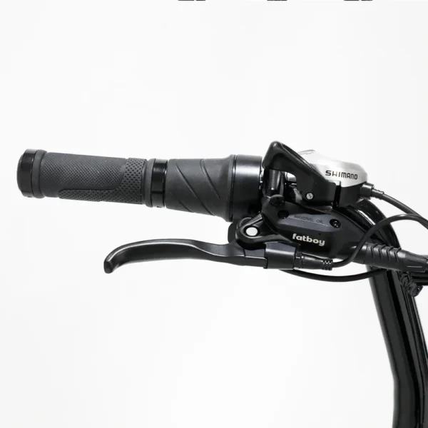 Fatboy Harlem V3 Electric Bike [UL2849]