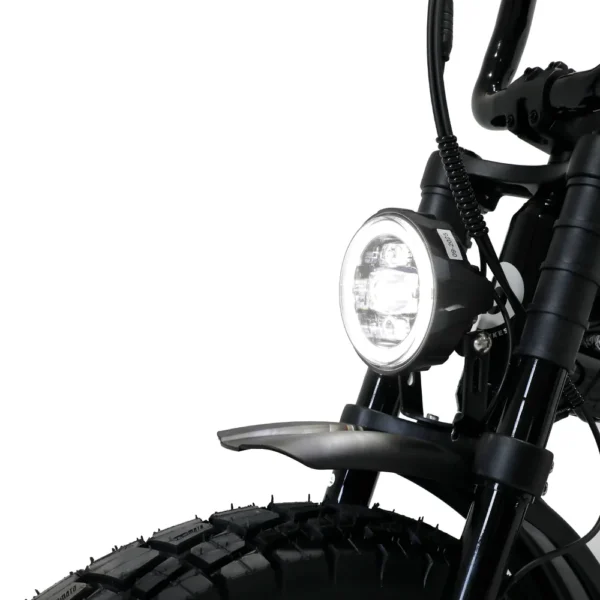 Fatboy DNA V3 Electric Bike