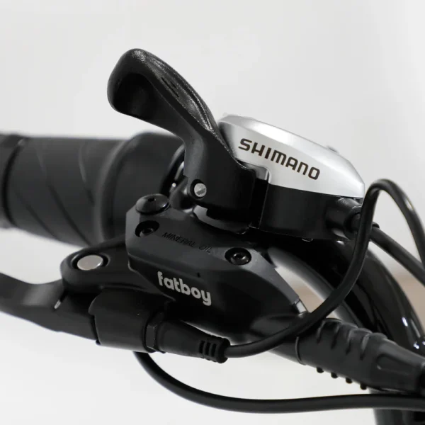 Fatboy Bagus V3 Electric Bike [UL2849]