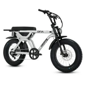 Fatboy DNA V3 Electric Bike