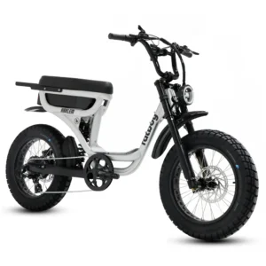 Fatboy Harlem V3 Electric Bike [UL2849]