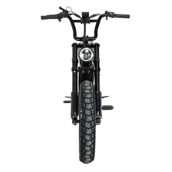 Fatboy Harlem V3 Electric Bike [UL2849]