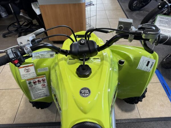 2025 Yamaha Raptor 700R SE ATV