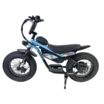 Carbon Charged 2026 Model Kids Electric Bike - Blue