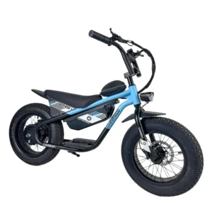 Carbon Charged 2026 Model Kids Electric Bike - Blue