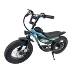 Carbon Charged 2026 Model Kids Electric Bike - Blue