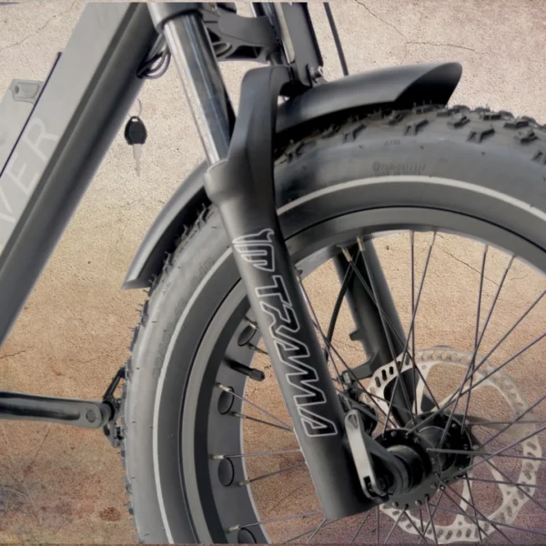 Rever Canyon Electric Bike