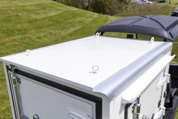 Specialty Food Truck Cart