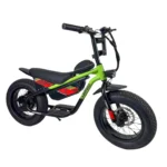 Carbon Charged 2026 Model Kids Electric Bike - Green