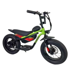 Carbon Charged 2026 Model Kids Electric Bike - Green