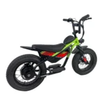 Carbon Charged 2026 Model Kids Electric Bike - Green