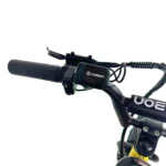 Carbon Charged 2026 Model Kids Electric Bike - Green