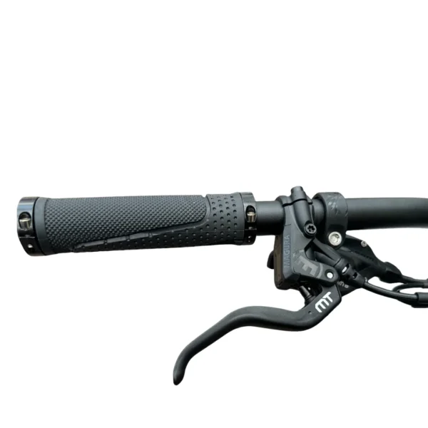 Rever Premium Carbon Electric Mountain Bike