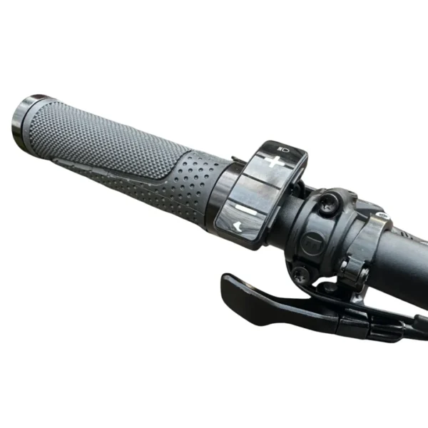 Rever Premium Carbon Electric Mountain Bike