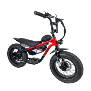 Carbon Charged 2026 Model Kids Electric Bike - Red
