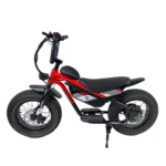Carbon Charged 2026 Model Kids Electric Bike - Red