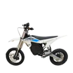 Electro & Co ETM RTR Lite Electric Bike