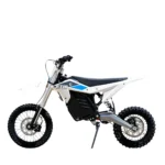 Electro & Co ETM RTR Lite Electric Bike