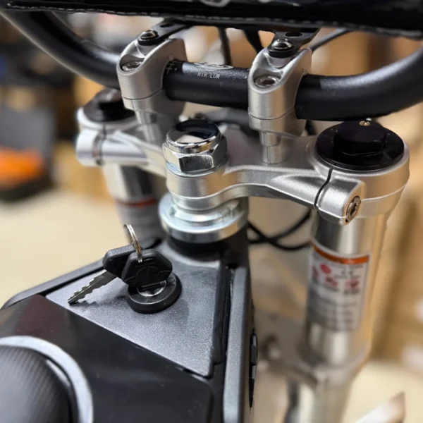 Electro & Co ETM RTR Lite Electric Bike