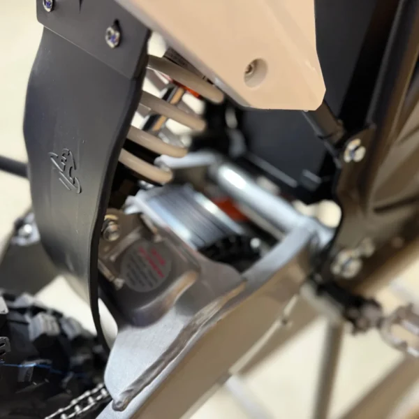 Electro & Co ETM RTR Lite Electric Bike