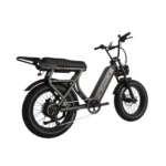 Rever Safari Electric Bike [DISPLAY]