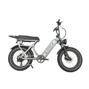 Rever Safari Electric Bike [DISPLAY]