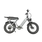 Rever Safari Electric Bike