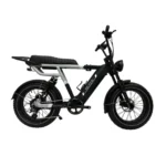 Rever Summit DS Electric Bike