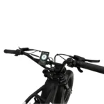 Rever Summit DS Electric Bike [DISPLAY]