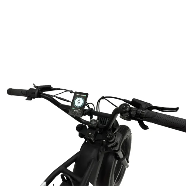 Rever Summit DS Electric Bike [DISPLAY]