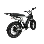 Rever Summit DS Electric Bike [DISPLAY]