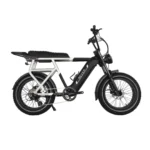 Rever Summit Electric Bike [DISPLAY]