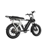 Rever Summit Electric Bike