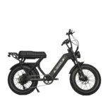 Rever Safari Electric Bike [DISPLAY]