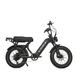 Rever Safari Electric Bike