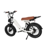Rever Safari DS Electric Bike