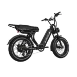 Rever Safari DS Electric Bike