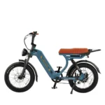 Rever Safari Glide DS Electric Bike