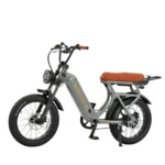 Rever Safari Glide DS Electric Bike