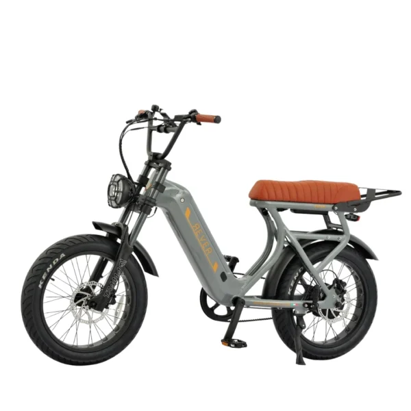 Rever Safari Glide DS Electric Bike
